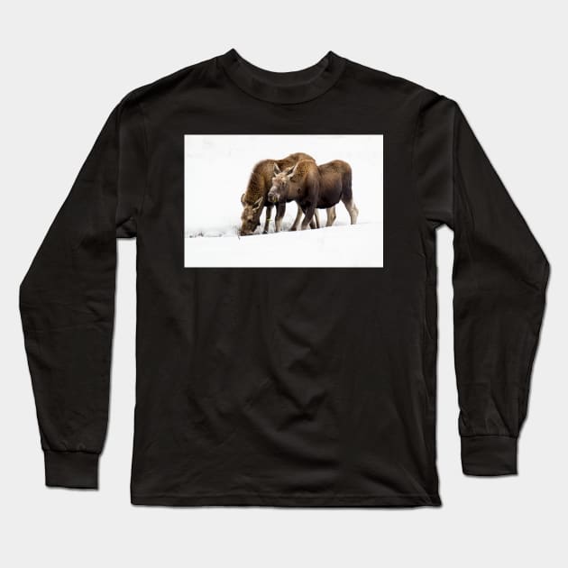 Foraging Moose Long Sleeve T-Shirt by StacyWhite